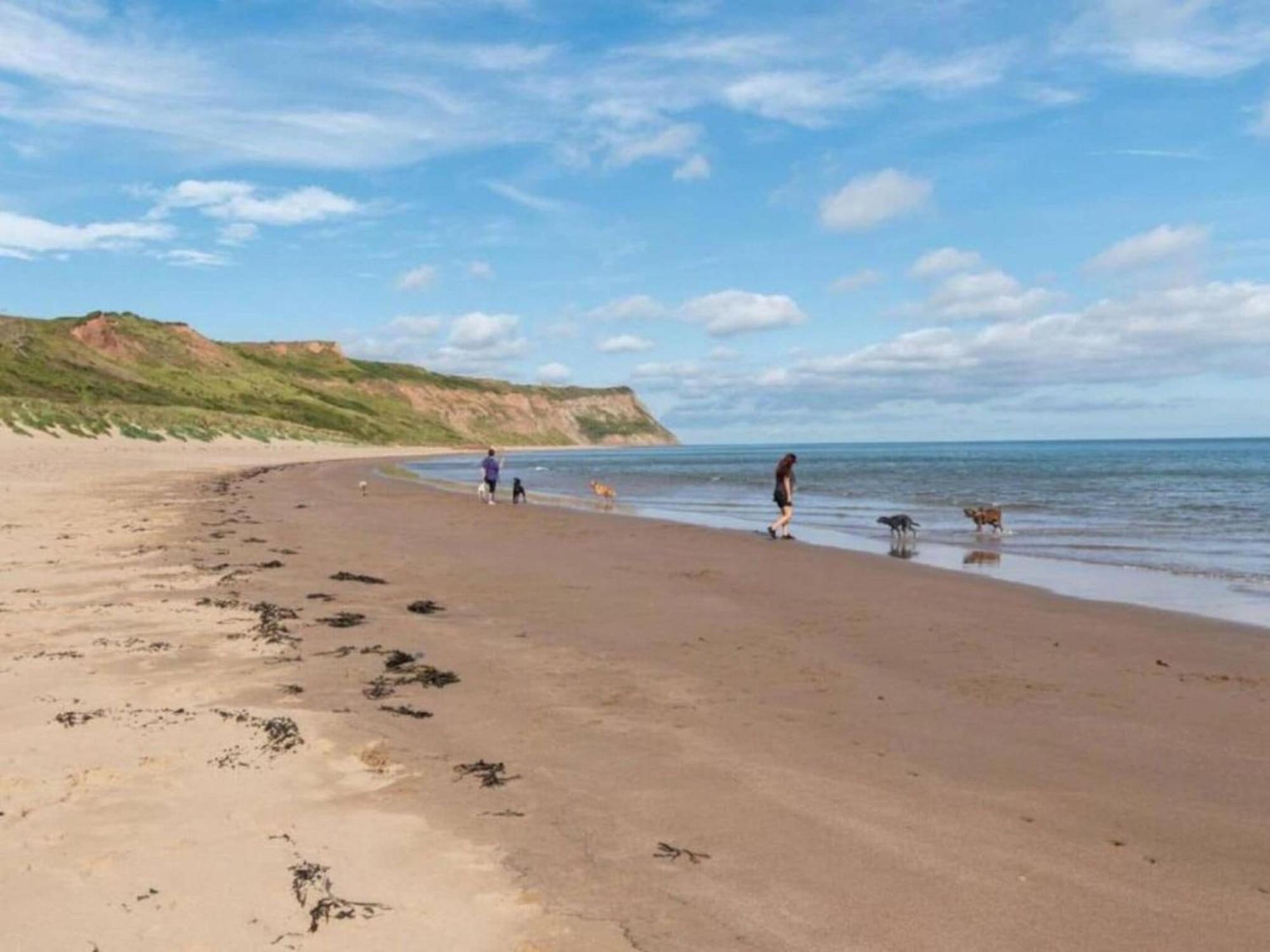 Cove Hideaway 1Bhk Apt 10 In Skinningrove Extérieur photo